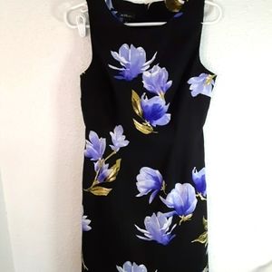 Alyx petite gorgeous dress. 8P